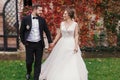 Gorgeous bride and stylish groom holding hands and walking at wa Royalty Free Stock Photo