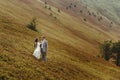 Gorgeous bride and stylish groom hugging at sunny landscape, bo Royalty Free Stock Photo