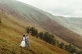 Gorgeous bride and stylish groom hugging at sunny landscape, bo Royalty Free Stock Photo