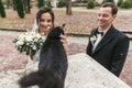 Gorgeous bride and stylish groom  playing with cute black and white cat in european city street in autumn. happy wedding couple Royalty Free Stock Photo