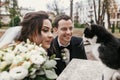 Gorgeous bride and stylish groom  playing with cute black and white cat in european city street in autumn. happy wedding couple Royalty Free Stock Photo