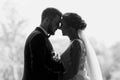 Gorgeous bride and stylish groom silhouettes at window light. Se