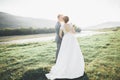 Gorgeous bride and stylish groom walking at sunny landscape, wedding couple, luxury ceremony mountains with amazing view Royalty Free Stock Photo