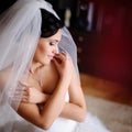 Gorgeous brunette caucasian bride