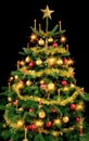 Gorgeous Christmas tree on black Royalty Free Stock Photo