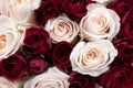 Gorgeous close-up of a Bouquet of Red and White Roses