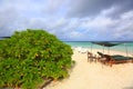 Gorgeous coast of island in Indian Ocean. White sand beach with green plants and sun loungers. Royalty Free Stock Photo