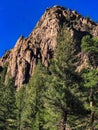 Gorgeous mountains and green trees in Colorado Royalty Free Stock Photo