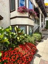 Gorgeous colorful flowers in downtown Frankenmuth, Michigan