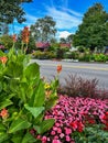 Gorgeous colorful flowers in downtown Frankenmuth, Michigan