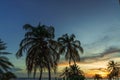 Gorgeous colorful view of sunset on Curacao island. Gorgeous view of green palm trees on blue sky background.