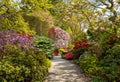 Azaleas and Rhododendron trees surround pathway in spring