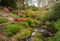 Azaleas and Rhododendron trees surround stream in spring