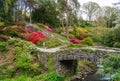 Azaleas and Rhododendron trees surround stream in spring