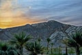 Sunset mountains palm trees Death Valley Royalty Free Stock Photo
