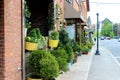 Curb-side appeal with several potted plants and shrubs outside downtown business, Saratoga, New York, 2018