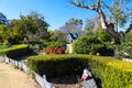 A gorgeous day in the garden with lush green plants and trees and a yellow miniature house