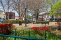 A gorgeous day in the Marietta Square with colorful flowers and lush green trees, plants and grass with black metal benches