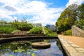 A gorgeous edible garden with lush green trees and plants and a small pond with lush green lily pads floating in the water Royalty Free Stock Photo