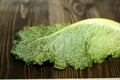 Magnificent embossed savoy cabbage leaf. Royalty Free Stock Photo