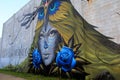 Beautiful image of woman`s face with owl hood as adornment, Rochester, New York, 2017