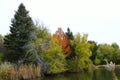 Fall Foliage Boise Idaho Albertson Park Royalty Free Stock Photo