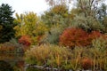 Fall Foliage Boise Idaho Albertson Park Royalty Free Stock Photo