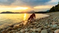 Gorgeous family pet dog on a beach at sunset. Vizsla puppy on summer vacation exploring the sea.