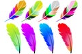Fancy Colored Feathers