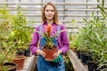 Gorgeous female gardener with planted pink flower on hands