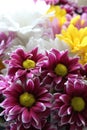 Gorgeous flower arrangement of colorful daisies near window of home