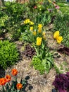 Gorgeous flower garden in Two Rivers, Wisconsin during springtime Royalty Free Stock Photo