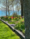 Gorgeous flower garden in Two Rivers, Wisconsin during springtime Royalty Free Stock Photo