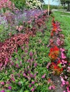 Gorgeous flower garden at Windmill Island Garden in Holland, Michigan