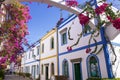 Gorgeous flowers of Puerto de Mogan, Gran Canaria, Canary islands Royalty Free Stock Photo