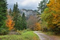 Gorgeous forest in Hecho Valley, Aragonese pyrenees, Huesca province, Spain Royalty Free Stock Photo