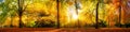 Gorgeous forest panorama in autumn Royalty Free Stock Photo
