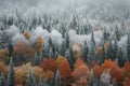 A gorgeous forest scene in winter, filled with an abundance of snow-dusted trees, Ice storm freezing an autumn forest, AI Royalty Free Stock Photo