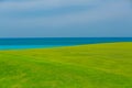 gorgeous fresh green grass field against tranquil ocean and blue sky background