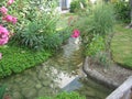 Gorgeous garden in Torrox, Spain