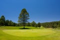 Gorgeous golf course in Arizona