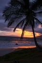 Gorgeous Hawaiian Sunset in Maui Royalty Free Stock Photo