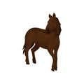 Gorgeous horse with dark brown coat, long flowing mane and tail. Mammal animal with hooves. Flat vector design Royalty Free Stock Photo