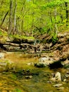 Gorgeous image of a small waterfall and creek in the woods in the spring