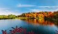 Gorgeous inviting view of autumn colorful leaves forest in the lake on blue sky background