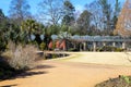 A gorgeous landscape in the garden with yellow winter grass, lush green trees and plants, bare winter trees with blue sky