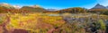 Gorgeous landscape of Patagonia`s Tierra del Fuego National Park in Autumn Royalty Free Stock Photo