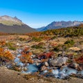 Gorgeous landscape of Patagonia`s Tierra del Fuego National Park Royalty Free Stock Photo