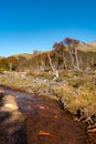 Gorgeous landscape of Patagonia`s Tierra del Fuego National Park Royalty Free Stock Photo