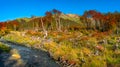 Gorgeous landscape of Patagonia& x27;s Tierra del Fuego National Park Royalty Free Stock Photo